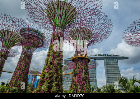 L'Supertrees, jardins de la baie, avec la Marina Sands Hotel, Singapore Banque D'Images