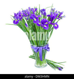 Irise bleu fleurs dans vase en verre Banque D'Images