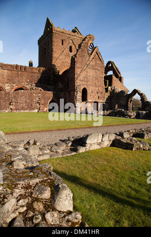 Les ruines de l'abbaye de Sweetheart sous le soleil d'après-midi, nouveau pont de l'abbaye, Dumfries et Galloway. Banque D'Images