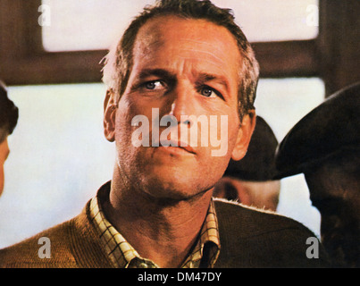 Le MACKINTOSH MAN (1973), Paul Newman, John Huston (DIR) MCKM 007 COLLECTION MOVIESTORE LTD Banque D'Images