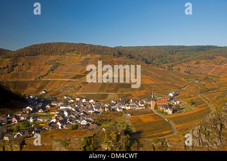 Culture Ahrtal outhouse cultiver cultiver à l'extérieur de la surface de la pente de montagne Allemagne Eifel Europe automne automne couleurs d'automne Banque D'Images