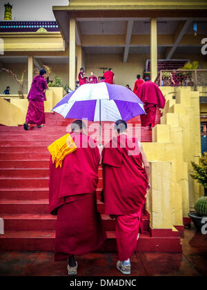 4 février 2013 - Sidhbari, Himachal Pradesh, Inde - bouddhisme tibétain en exil..moines tibétains se rassemblent pour une visite avec Sa Sainteté le 17ème Gyalwang Karmapa Ogyen Trinley Dorje à son domicile temporaire, le monastère de Gyuto à Sidhbari, Inde. Après de façon dramatique la fuite du Tibet en 2000, le Karmapa continue à la tête de la 900 ans Karma Kagyu...Histoire Résumé : Le bouddhisme tibétain est bien vivant, en dehors du Tibet. La religion et la culture du peuple tibétain est florissant dans les communautés à travers le monde en tant que chef spirituel tibétain en exil le dalaï-lama a ind Banque D'Images