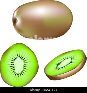 Les kiwis vector illustration Illustration de Vecteur