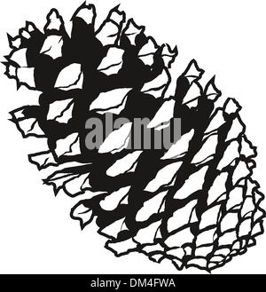 Pinecone vector illustration Illustration de Vecteur