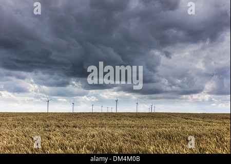 Nuages de tempête de recueillir plus d'éoliennes dans un champ de blé près de Beverley, maturation East Riding of Yorkshire, UK. Banque D'Images