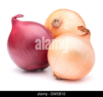 Bulbes Légumes oignon isolé sur fond blanc dentelle Banque D'Images