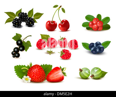 Grand groupe de baies fraîches et de cerises. Vector illustration Banque D'Images