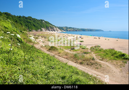 Jolies fleurs sauvages sur les sables bitumineux lieu non identifié au printemps, Devon, Angleterre. Banque D'Images