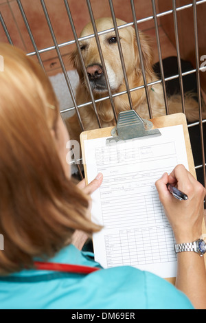 Infirmière vétérinaire chien Cage de contrôle sur Banque D'Images