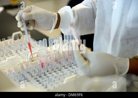 Un technicien de laboratoire est l'analyse des échantillons de sang dans un laboratoire, le don de sang de la Croix-Rouge Centre, Port-au-Prince, Haïti Banque D'Images