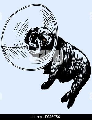 Chien revient de l'EFP Illustration de Vecteur