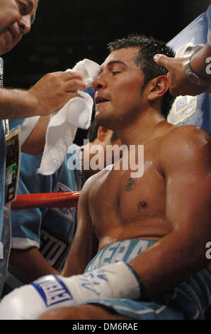 Sep 17, 2005, à Las Vegas, NV, USA ; : BOXE WBC World Super champion poids plume Marco Antonio Barrera bat Robbie Peden pour unifier le titre WBC et IBF. Barrera est promu par Oscar De La Hoya's Golden Boy Promotions. Crédit obligatoire : Photo par Rob DeLorenzo/ZUMA Press. (©) Copyright 2005 par Rob DeLorenzo Banque D'Images