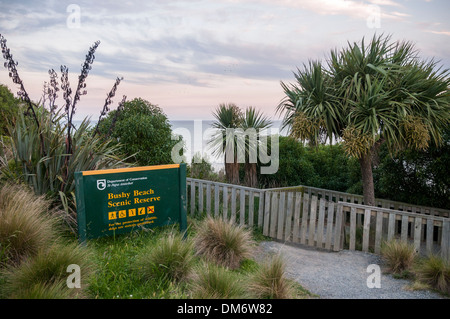 Plage de Bushy Scenic Reserve, Oamaru, North Otago, île du Sud, Nouvelle-Zélande. Banque D'Images