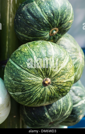 Échoppe de marché citrouilles en paniers libre Banque D'Images