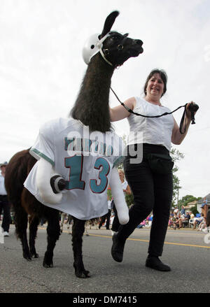 Aug 06, 2005 ; Canton, OH, USA ; même les lamas habillés comme ancien Miami Dolphin quarterback Dan Marino pour le Temple de la renommée Parade samedi morninng à Canton, Ohio. Crédit obligatoire : Photo par Allen Eyestone/Palm Beach Post/ZUMA Press. (©) Copyright 2005 par Allen Eyestone/Palm Beach Post Banque D'Images