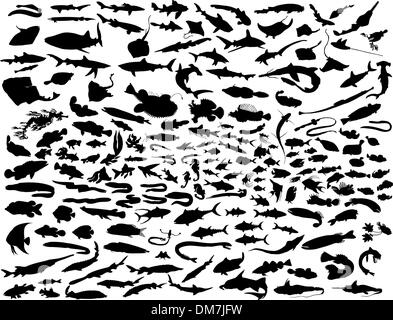 poisson de vecteur Illustration de Vecteur