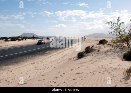 FV1 en passant par les dunes de sable, Corralejo, Fuerteventura, Îles Canaries, Espagne. Banque D'Images