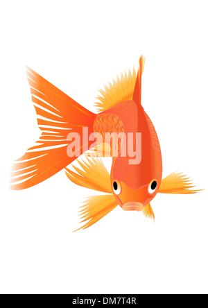 Poissons rouges. Vector illustration. Illustration de Vecteur