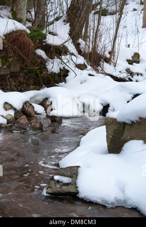 Cours d'eau peu profonde avec la neige couvrant les murs sur une froide journée d'hiver Banque D'Images