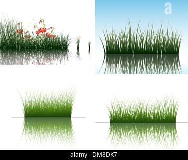 l’herbe sur l’eau Illustration de Vecteur