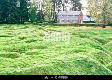 Terre-neuvien de Beaumont-Hamel tranchées Banque D'Images