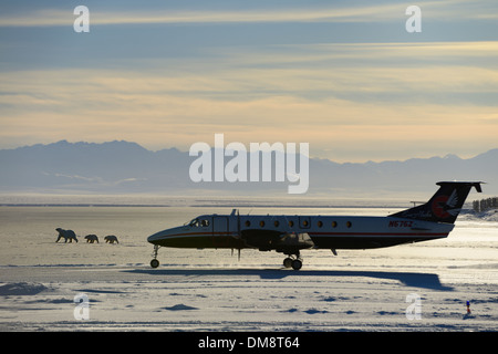 Avion décollant de l'aéroport de l'île Barter srrp Kaktovik en Alaska avec les ours polaires sur la mer de Beaufort et de l'océan Arctique Brooks Range Mountains Banque D'Images