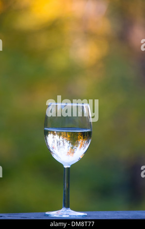 Verre de vin blanc sur la table campagne Banque D'Images