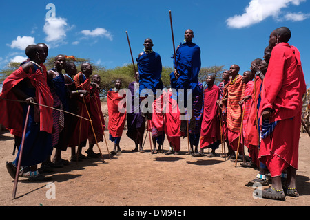 Un groupe d'hommes Massaï participant à la traditionnelle danse Adumu communément appelé Jumping danse exécutée dans une cérémonie de passage à l'âge adulte pour les jeunes guerriers dans la tribu Masaï dans la zone de conservation de Ngorongoro cratère dans la région des hautes terres de Tanzanie Afrique de l'Est Banque D'Images