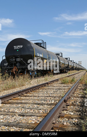 Wagons-citernes ferroviaires, utilisé pour le transport de produits liquides et gazeux, y compris le pétrole brut, au repos sur un embranchement ferroviaire . Banque D'Images