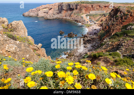 Arifana beach, Algarve, Portugal, Europe Banque D'Images