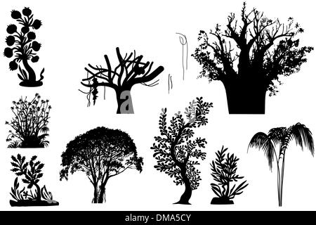 Les arbres de l'Afrique - vector Illustration de Vecteur