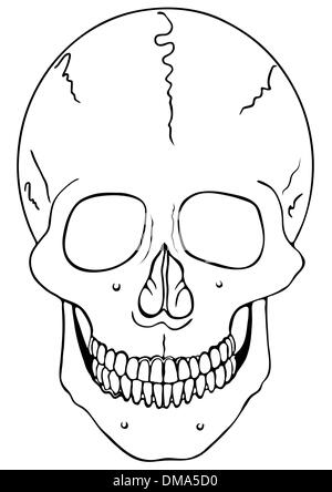 Smiling skull - vector Illustration de Vecteur