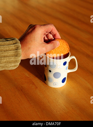 Tremper un biscuit digestif dans une tasse de thé. Banque D'Images