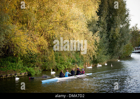 Les rameurs sur la rivière Cam à Cambridge lors d'une froide mais ensoleillé matin de novembre, le 15 novembre 2013. Banque D'Images