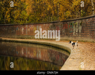 L'automne par un des canaux à Birmingham, Angleterre Banque D'Images