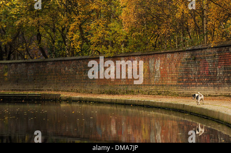 L'automne par un des canaux à Birmingham, Angleterre Banque D'Images