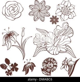 Série de fleurs Illustration de Vecteur