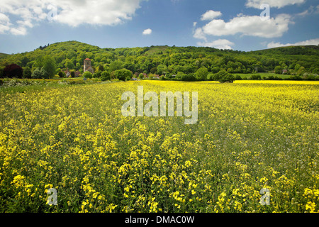 Little Malvern Priory dans l'ombre de la collines de Malvern Worcestershire Banque D'Images