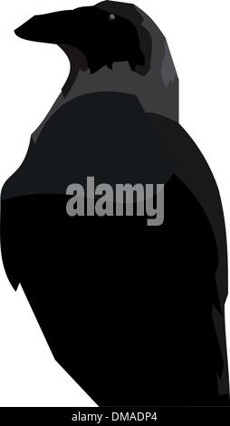 Illustraton réaliste de corbeau noir Illustration de Vecteur