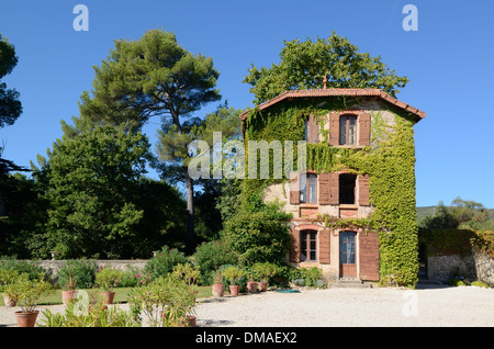 Ampelopsis glandulosa Peppervine ou dépendance couverte de vigne du Château d'Arnajon Bastide ou Maison de campagne le Puy-Sainte-Réparade Provence France Banque D'Images