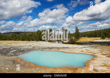 L Opale noire Printemps Biscuit Basin Le Parc National de Yellowstone au Wyoming. USA LA006717 Banque D'Images