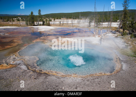 Printemps Firehole Parc National de Yellowstone au Wyoming. USA LA006783 Banque D'Images