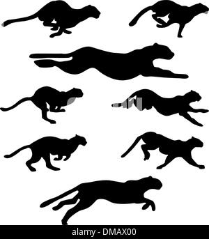 jeu de chats sauvages Illustration de Vecteur