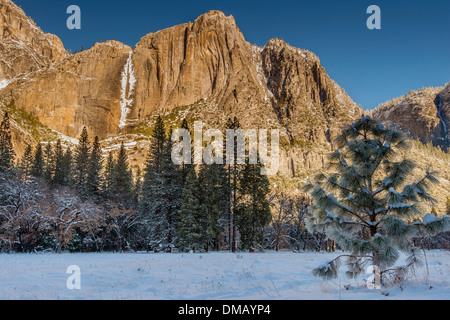 Vue d'hiver gelé plus de chutes de Yosemite, Yosemite National Park, California, USA Banque D'Images