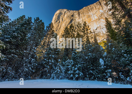 Paysage d'hiver avec la montagne El Capitan, Yosemite National Park, California, USA Banque D'Images