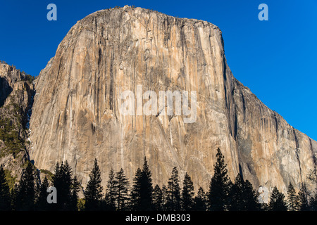 La montagne El Capitan, Yosemite National Park, California, USA Banque D'Images