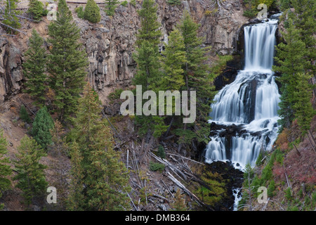Heinz-günther Falls Parc national de Yellowstone au Wyoming. USA LA007040 Banque D'Images
