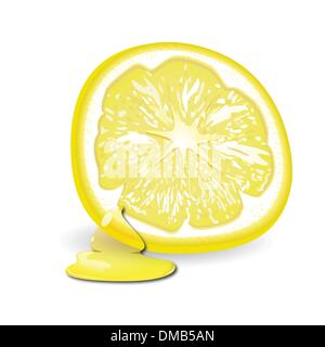 citron Illustration de Vecteur