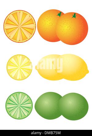 Ensemble d'agrumes Illustration de Vecteur