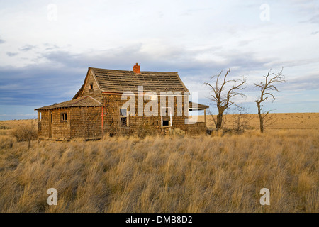 Exploitation de blé abandonnés à Madras, Oregon. Banque D'Images